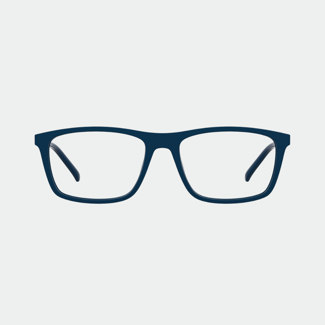Pierre Cardin 6254