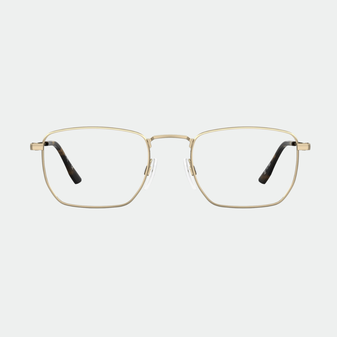 Pierre Cardin 6891