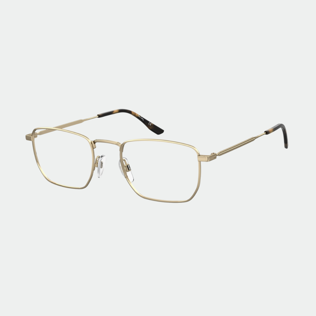 Pierre Cardin 6891