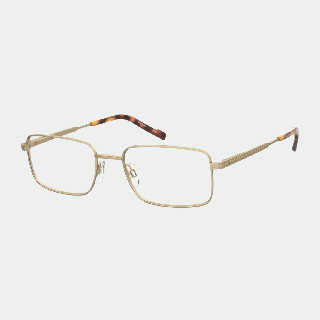Pierre Cardin 6900