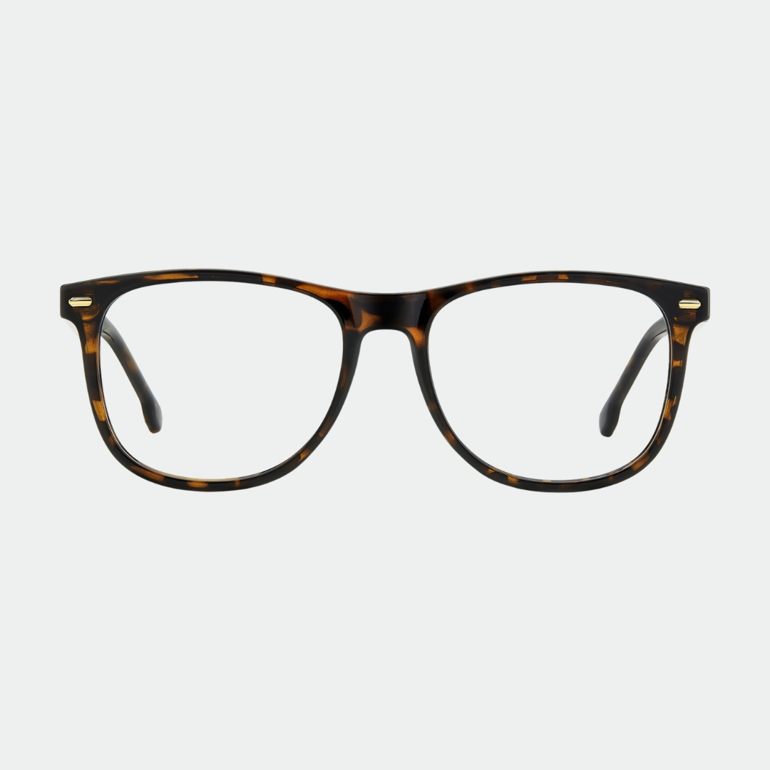 Carrera 2049T