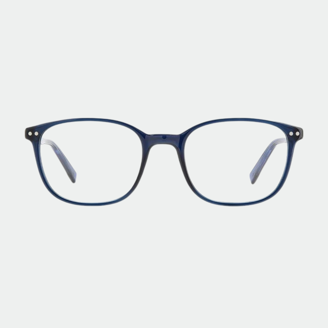 Pierre Cardin 6256