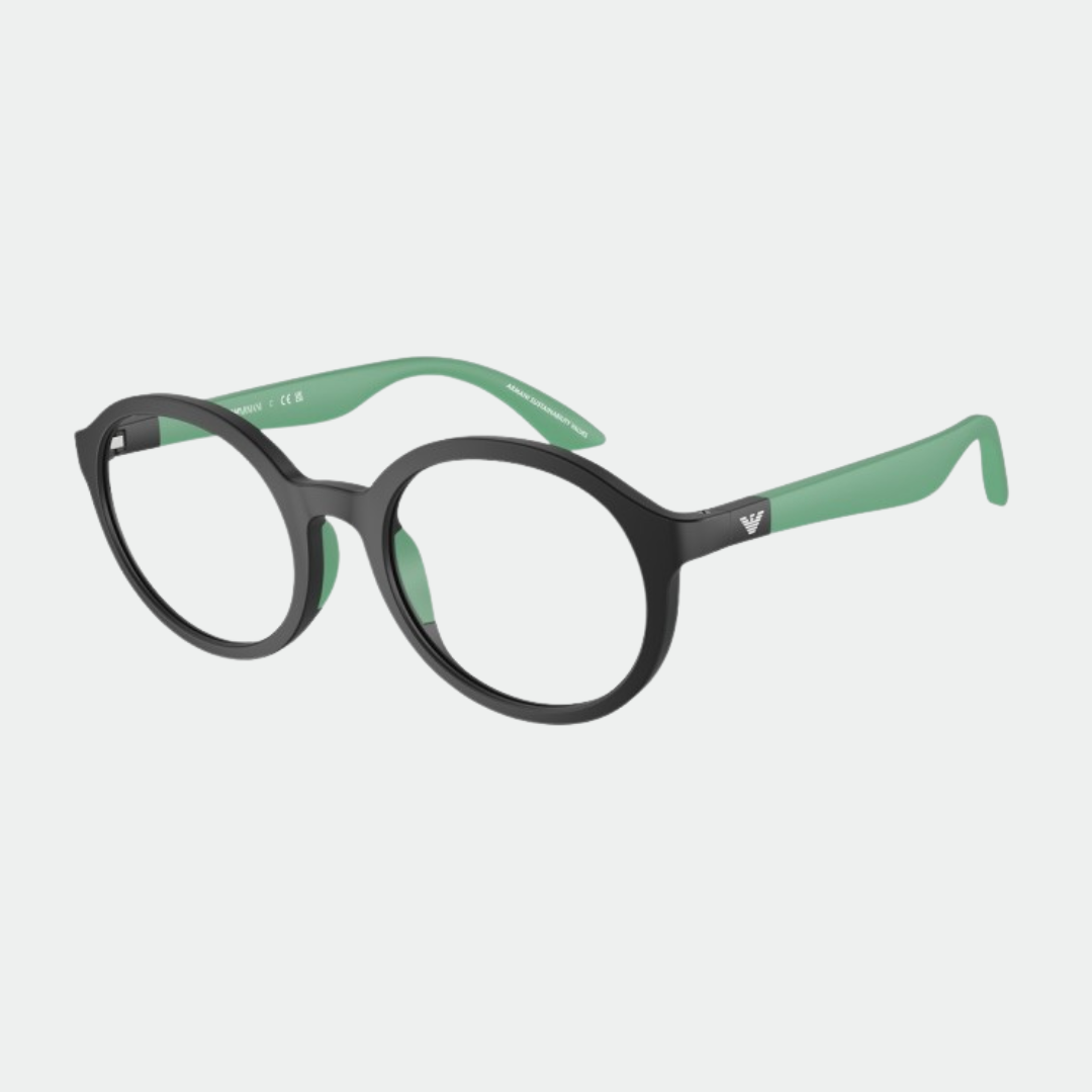 Emporio Armani 3005