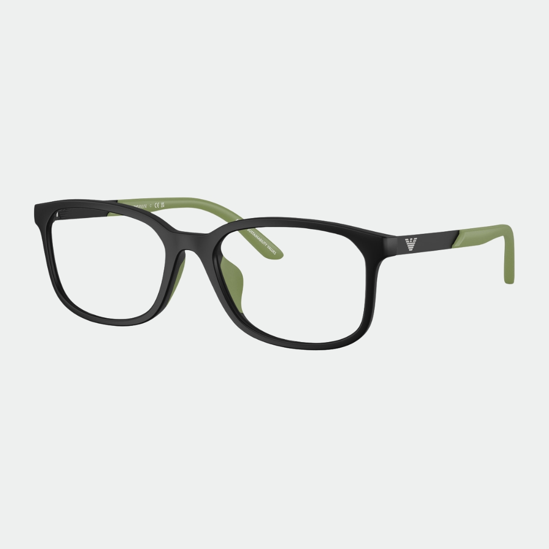 Emporio Armani 3008U