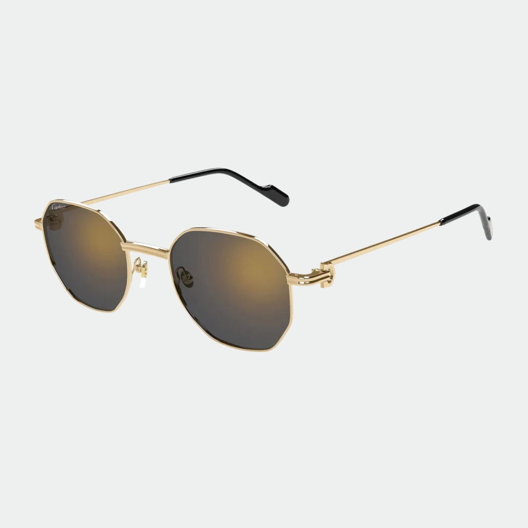 Cartier CT 0500S